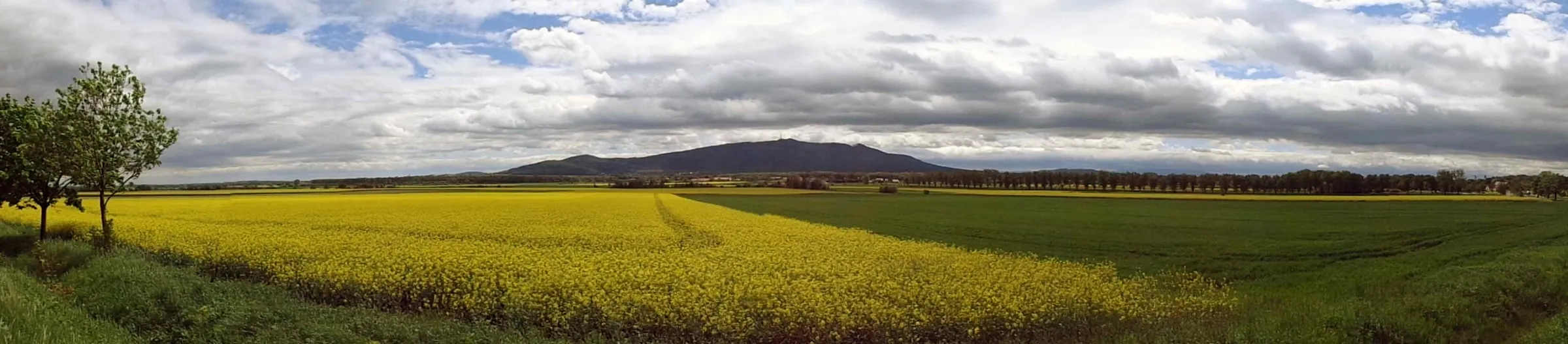 Panorama Góry Ślęży widziana z pól u jej podnóża